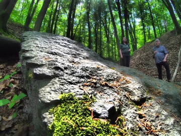 Plener fotograficzny Natura i krajobraz - Park Krajobrazowy Wzniesień Łódzkich, <p>fot. Marcin Kwarta</p>